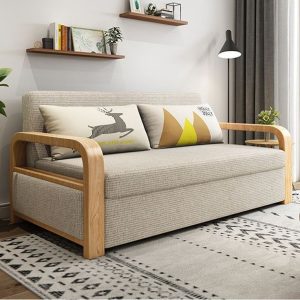 Sofa Cum Bed